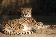044CRW_8153