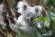 054Img_0666