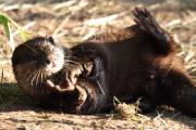058CRW_8405