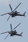 161IMG_4262