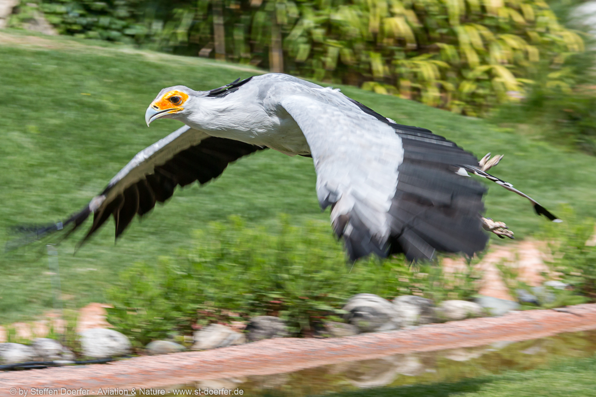 360IMG_7072