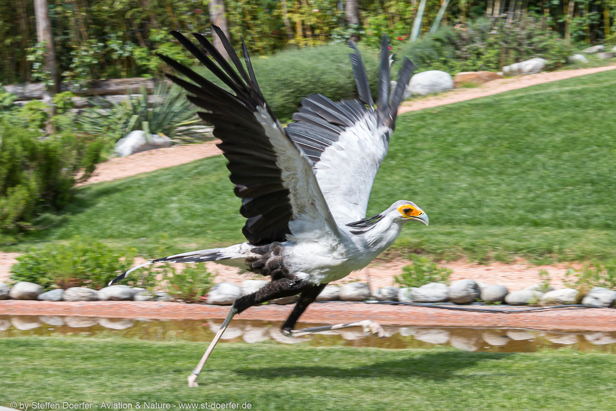 361IMG_7060