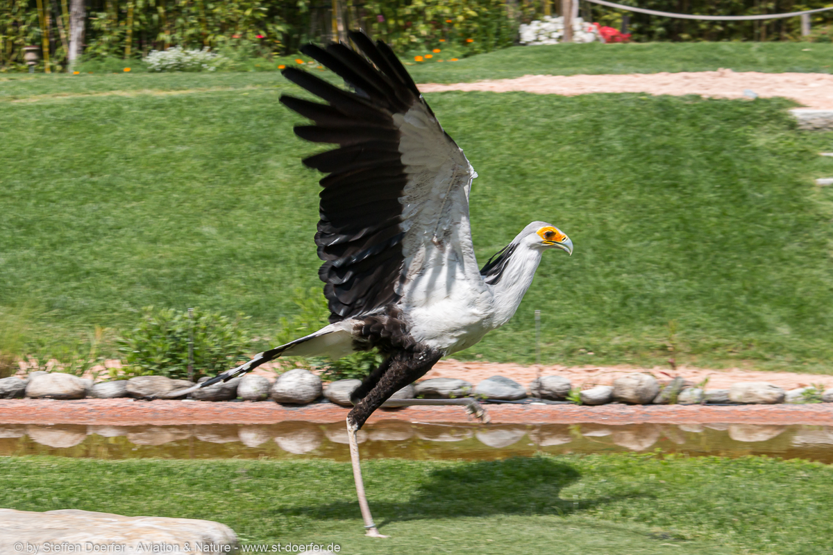 361IMG_7086