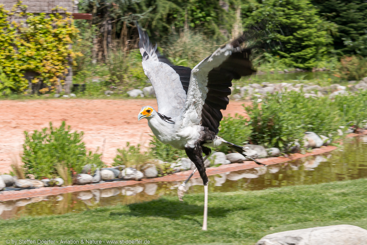 361IMG_7094