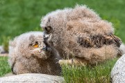 240IMG_6971