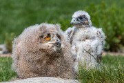 240IMG_6974