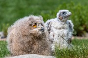240IMG_6979