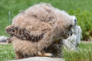 240IMG_6988
