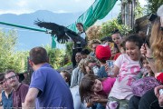 320IMG_7041