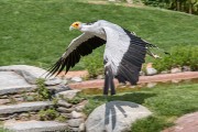 360IMG_7050