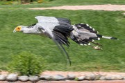 360IMG_7053