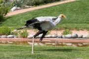 361IMG_7083