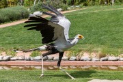 361IMG_7084