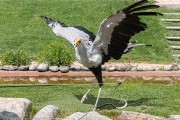 361IMG_7129