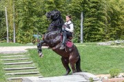 580IMG_7162