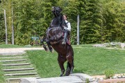 580IMG_7164