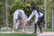 582IMG_7232