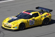 11IMG_7228