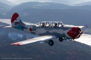 240IMG_3553