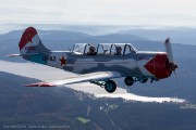 240IMG_3560