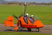 501IMG_0533