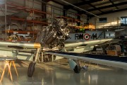 381IMG_5431