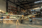 381IMG_5450