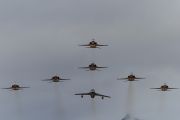 020IMG_0542