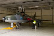 033IMG_1478