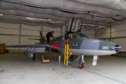 033IMG_1481