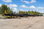 100IMG_7260