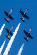 204IMG_7488