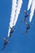 204IMG_7493