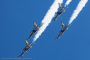204IMG_7494