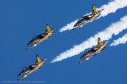 204IMG_7495
