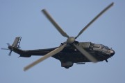 110IMG_9906