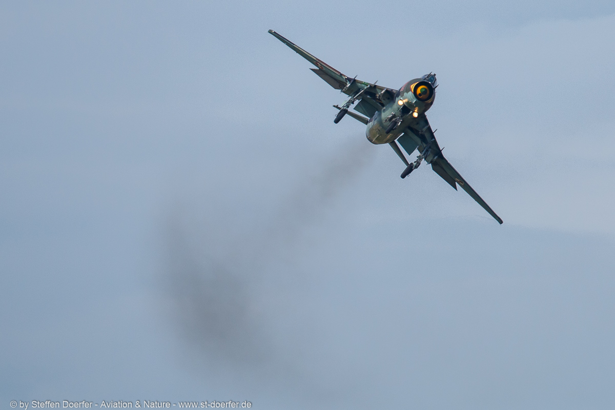284IMG_6392