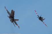 111IMG_7441
