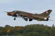 281IMG_5240