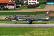 287IMG_5250