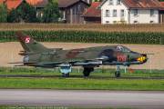 288IMG_5253