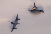 294IMG_6871