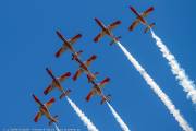 310IMG_6460
