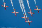 310IMG_7686