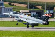 381IMG_8274