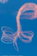 453IMG_9906