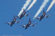 504IMG_9889