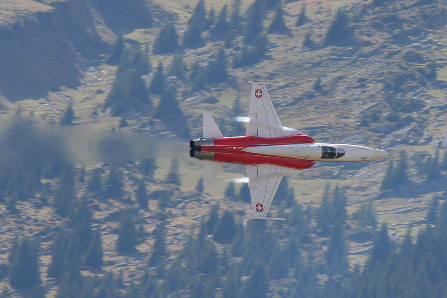 900IMG_8661