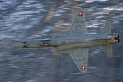 500IMG_8247