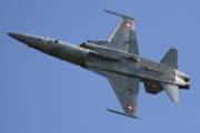 500IMG_8339